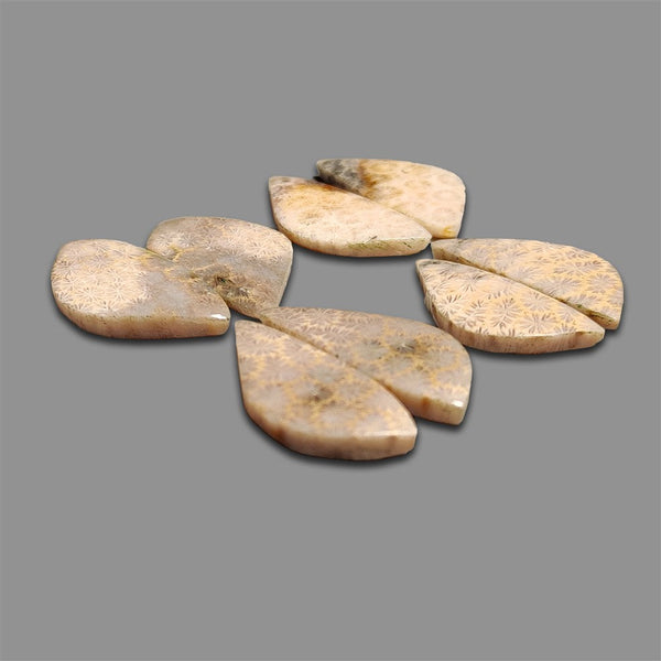 Fossil Coral Pairs Lot