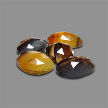 Rose Cut Montana Agate Lot