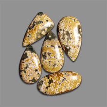 Ocean Orbicular Jasper Cabochons Lot-4606 | Gemstone for sale