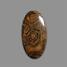 Stromatolite Cabochon-4712 | Gemstone for sale