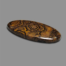 Stromatolite Cabochon