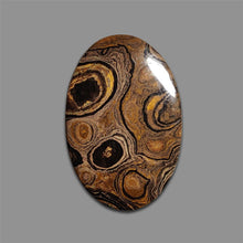Stromatolite Cabochon-4713 | Gemstone for sale