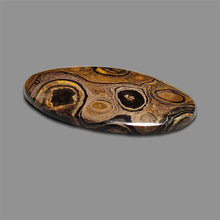 Stromatolite Cabochon
