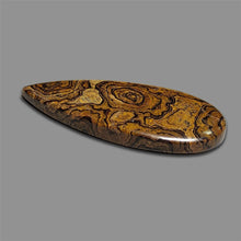 Stromatolite Cabochon