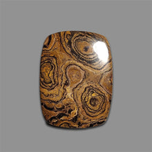 Stromatolite Cabochon-4715 | Gemstone for sale