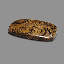 Stromatolite Cabochon