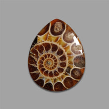 Ammonite Fossil Cabochon-4717 | Gemstone for sale