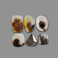 Scenic Agate Cabochons Lot-4727 | Gemstone for sale