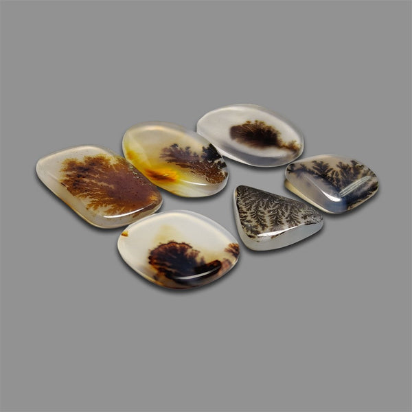 Scenic Agate Cabochons Lot