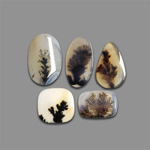 Scenic Agate Cabochons Lot-4728 | Gemstone for sale