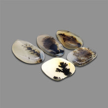 Scenic Agate Cabochons Lot