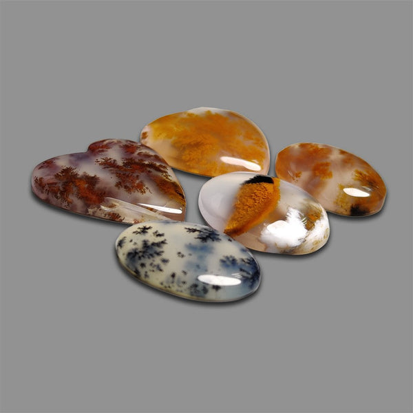 Rare Russian Dendritic Agate Cabochons Lot