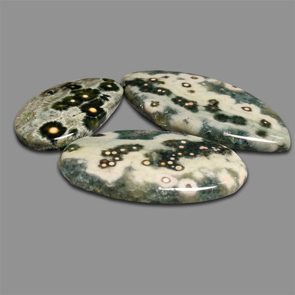 Green Ocean Orbicular Jasper Cabochons Lot