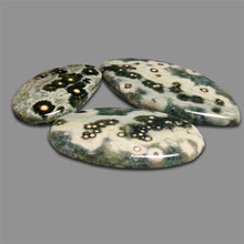 Green Ocean Orbicular Jasper Cabochons Lot