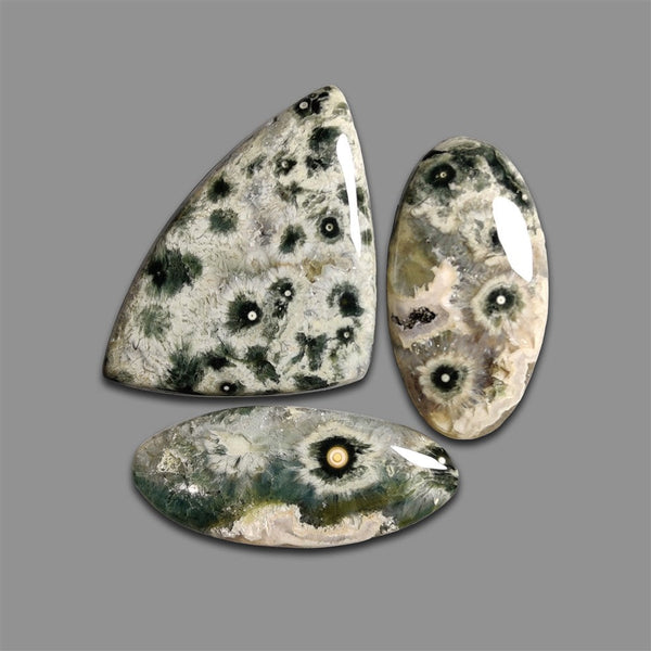 Green Ocean Orbicular Jasper Cabochons Lot-4734 | Gemstone for sale