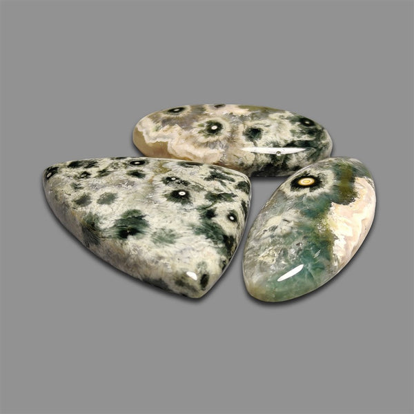 Green Ocean Orbicular Jasper Cabochons Lot