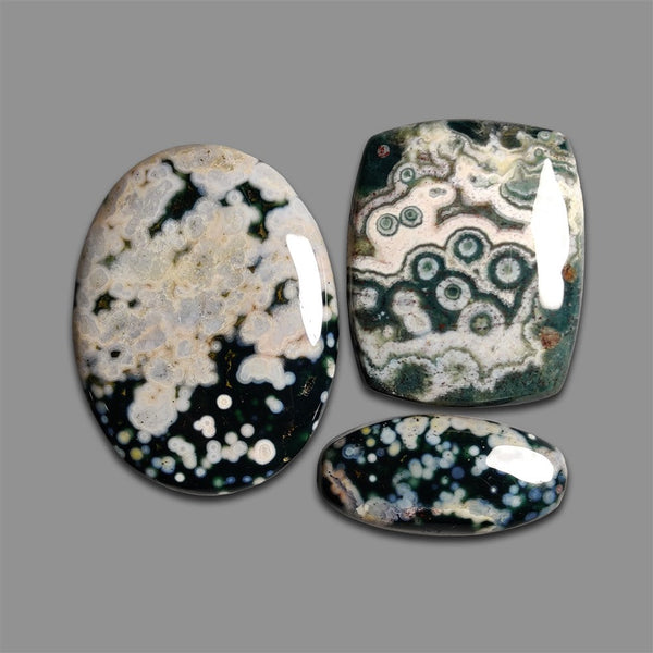 Green Ocean Orbicular Jasper Cabochons Lot