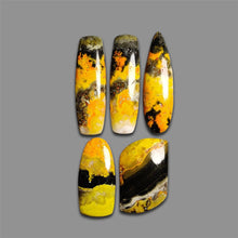 Bumble Bee Jasper Cabochons Lot-4751 | Gemstone for sale