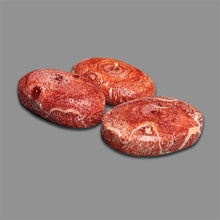 Natural Red Coral Raw Form Lot