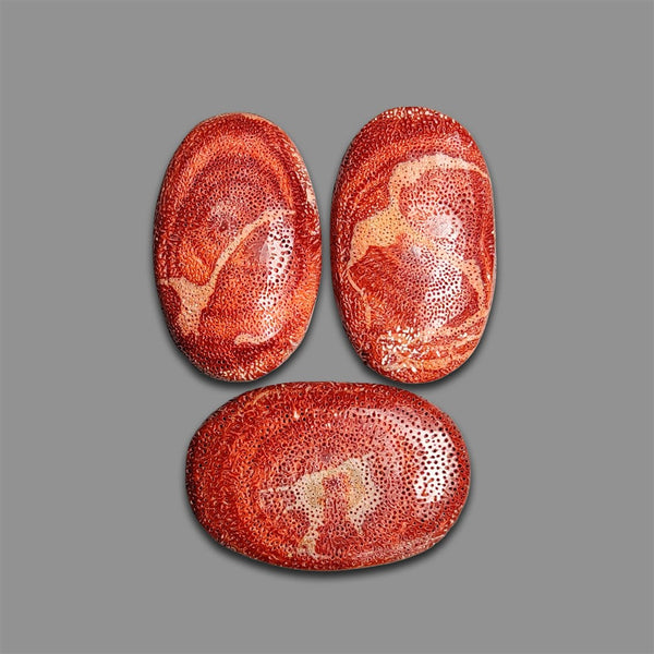 Natural Red Coral Raw Form Lot-4754 | Gemstone for sale