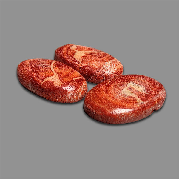 Natural Red Coral Raw Form Lot