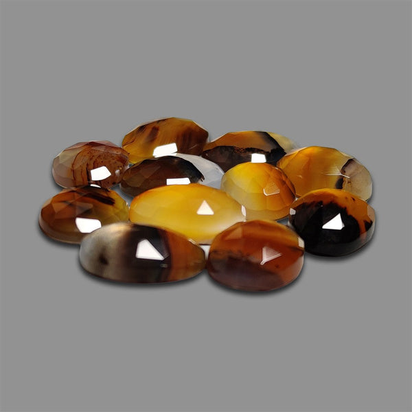 Rose Cut Montana Agate Lot