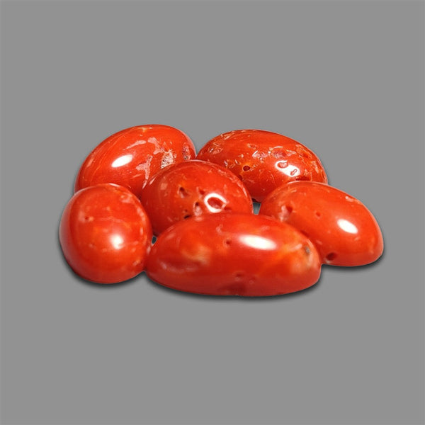Italian Natural Coral Cabochons Lot