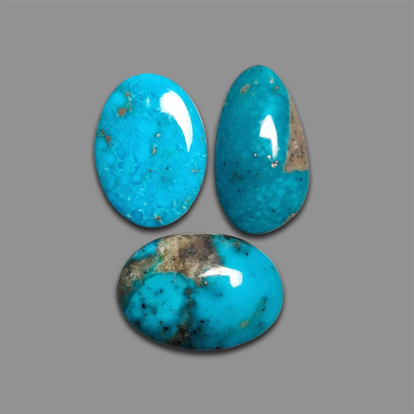 Persian Turquoise Cabochons Lot (backed)-4773 | Gemstone for sale