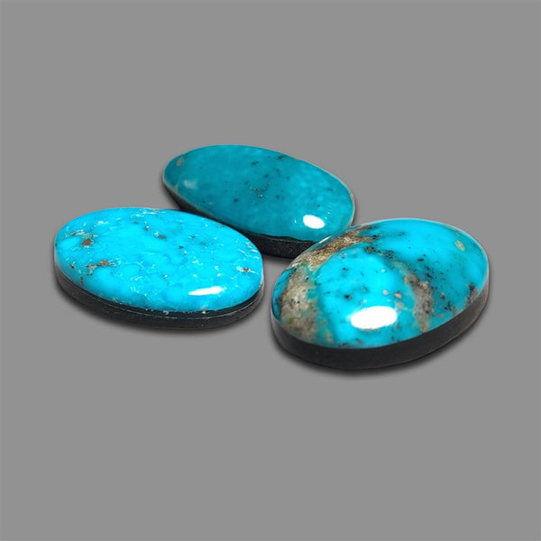 Persian Turquoise Cabochons Lot (backed)