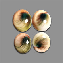 Shiva Eye Shell Cabochons Lot-4779 | Gemstone for sale