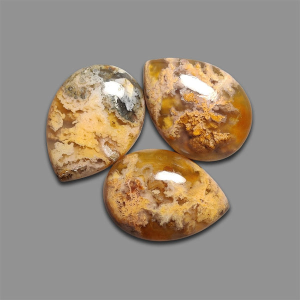 Northridge Plume Agate Cabochons Lot-4790 | Gemstone for sale