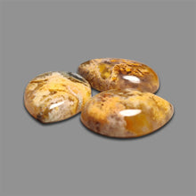 Northridge Plume Agate Cabochons Lot