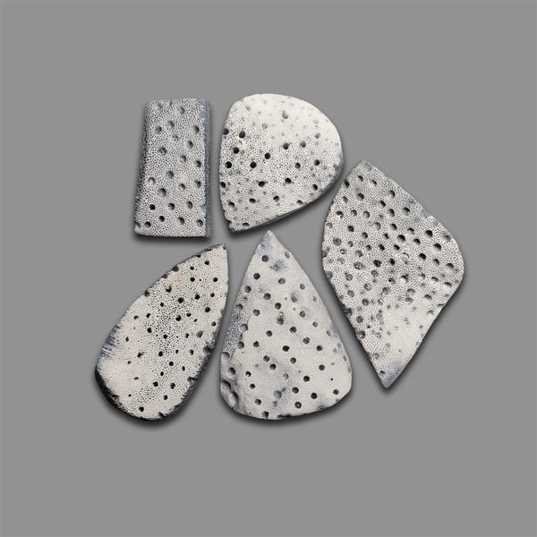 Blue Sponge Corals Lot-4795 | Gemstone for sale