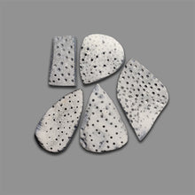 Blue Sponge Corals Lot-4795 | Gemstone for sale