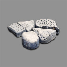 Blue Sponge Corals Lot