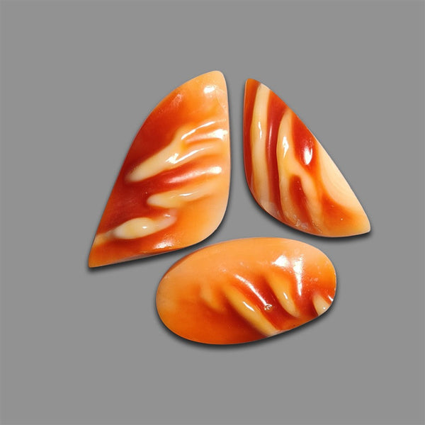 Spiny Oyster Shells Lot-4820 | Gemstone for sale