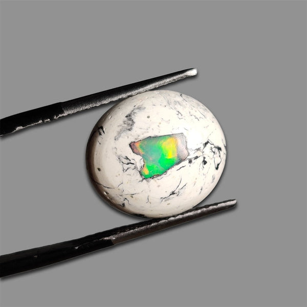 Cantera Galaxy Opal-4836 | Gemstone for sale