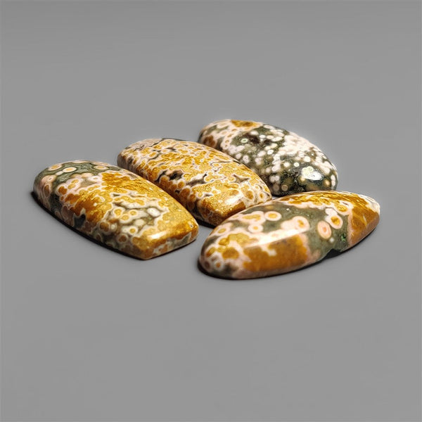 Ocean Orbicular Jasper Cabochons Lot
