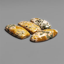 Ocean Orbicular Jasper Cabochons Lot