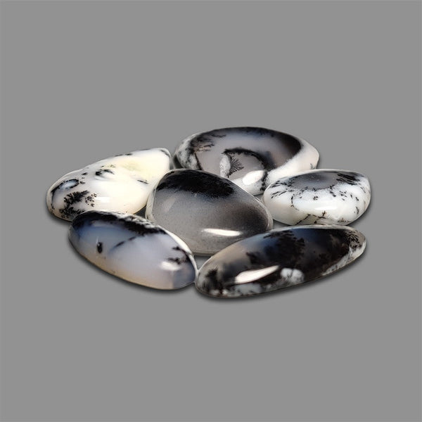 Dendritic Agate Cabochons Lot