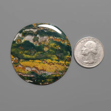 Large Bloodstone Round Cabochon