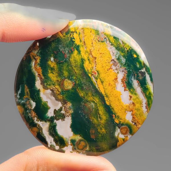 Large Bloodstone Round Cabochon