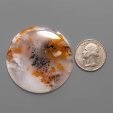 Large Russian Brown Dendritic Agate Cabochon