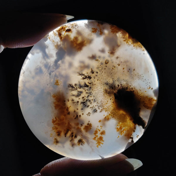 Large Russian Brown Dendritic Agate Cabochon