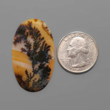 AAA Scenic Agate Cabochon