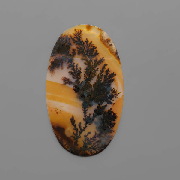 AAA Scenic Agate Cabochon