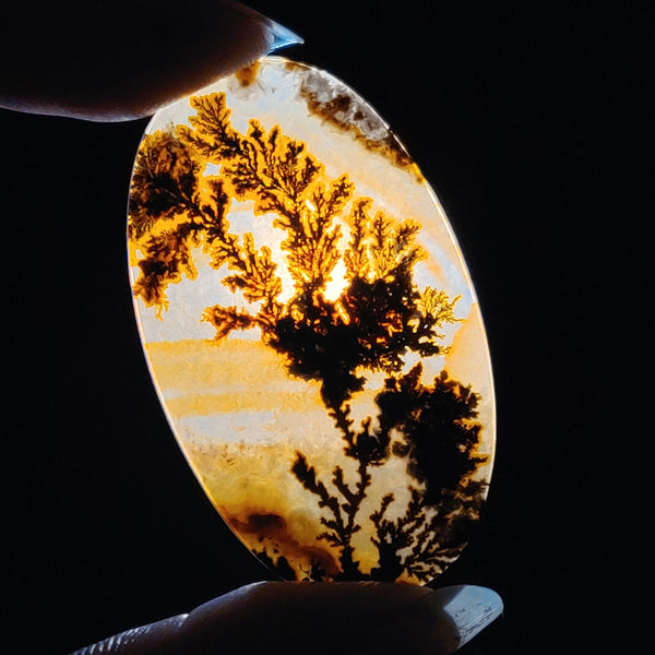 AAA Scenic Agate Cabochon