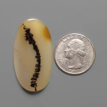 AAA Scenic Agate Cabochon