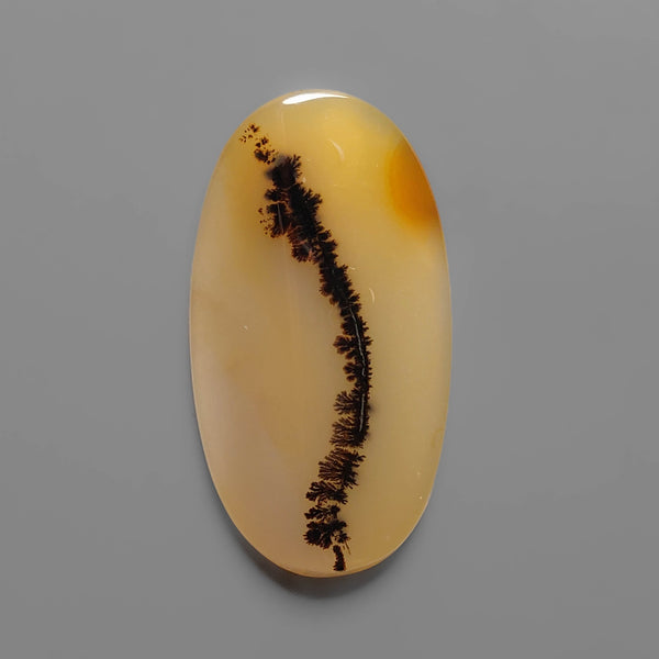 AAA Scenic Agate Cabochon