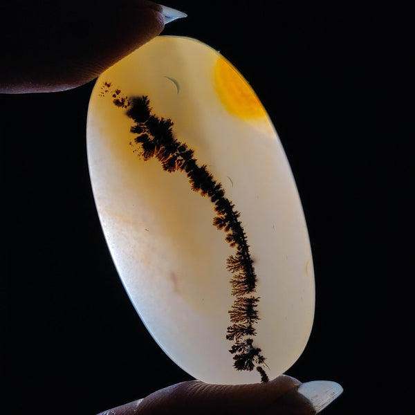 AAA Scenic Agate Cabochon